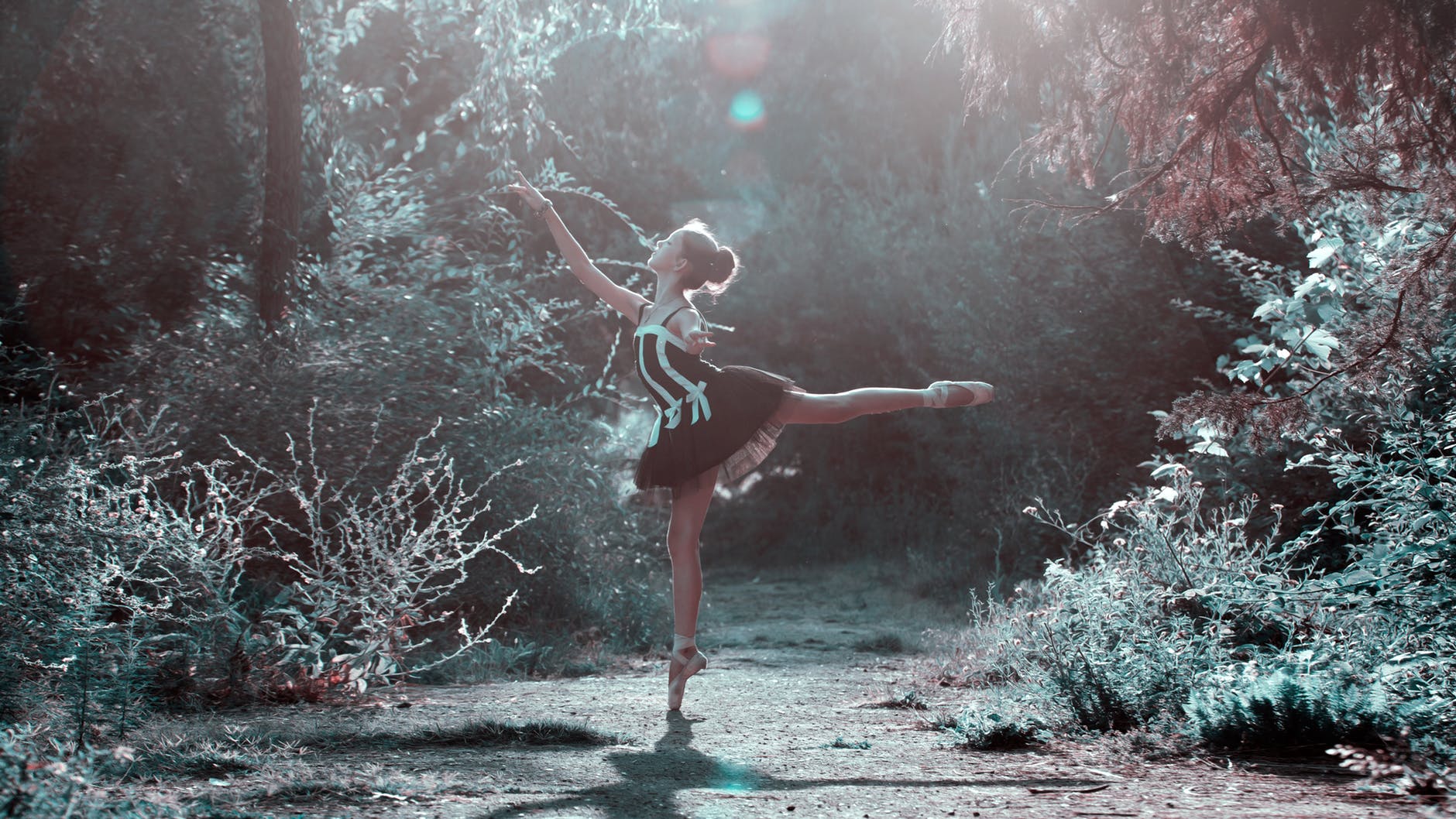 ballet ballet dancer beautiful choreography